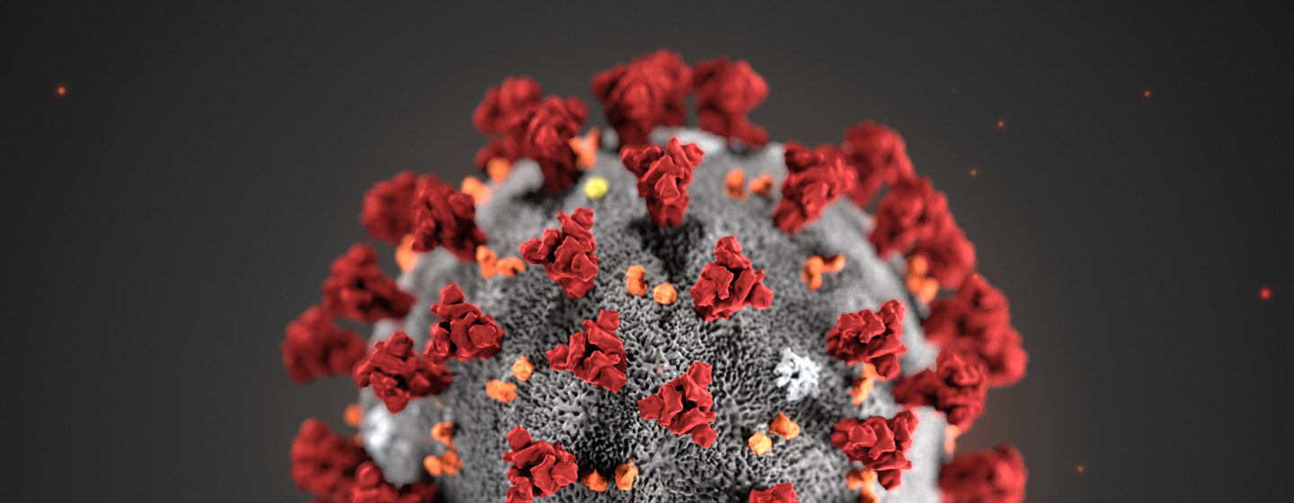 A digital illustration of the coronavirus shows the crown-like appearance of the virus.